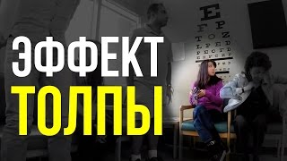 Эффект толпы  социальный эксперимент  Brain games  social conformity [upl. by Nonez]