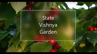 State Vishnya Garden  Welcome  Link in the description [upl. by Kreiner]