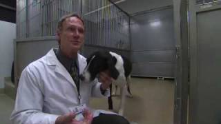 Touring An Animal Research Facility [upl. by Kenny]