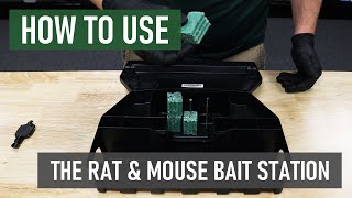 How to Use a Rat amp Mouse Bait Station  DIY Rodent Control [upl. by Galatia]