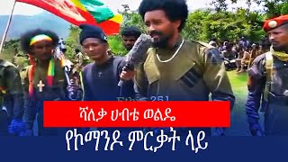 ሻለቃ ሀብቴ ወልዴ የኮማንዶ ምርቃት ላይ  የአማራ ፋኖ ጎንደር እዝ የጎንደሬ በጋሻው ክፍለጦር ነብዩ አሳምነው ብርጌድ አዲስ የኮማንዶ ኃይል አስመረቀe [upl. by Friede]