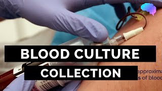 Blood Culture Collection  OSCE Guide  UKMLA  CPSA [upl. by Bernetta]