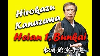 Hirokazu Kanazawa Heian Shodan Bunkai [upl. by Eynttirb]