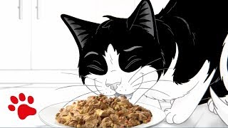 Purina Felix Sensations Commercial Dads home alone [upl. by Annelg]