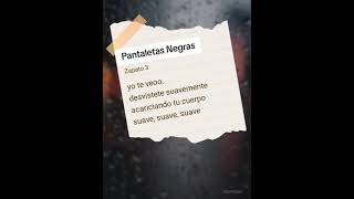 Pantaletas Negras  👞 Zapato 3  Cover con letra [upl. by Drofyar377]