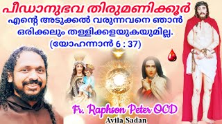 പീഡാനുഭവ തിരുമണിക്കൂർ 9112023Fr Raphson Peter OCD Avila Sadan Karaparambu Edoor Iritty [upl. by Erving]