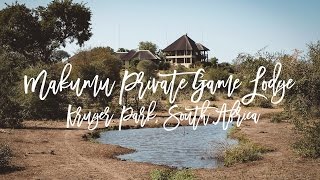 Makumu Private Game Lodge Kruger Park South Africa  Spectacular Game Drives amp Wellbeing [upl. by Ecirtnahs964]