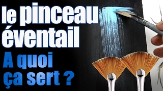 A quoi sert le pinceau éventail   fan brush [upl. by Melac128]