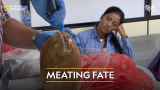 Meating Fate  Airport Security Madrid  हिन्दी  Full Episode  S4  E2  National Geographic [upl. by Shauna]