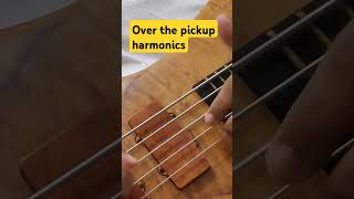 Warwick streamer lx ltd 2008 harmonics over pickup bass warwickbass bassguitar soundofwood [upl. by Julis198]