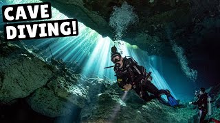 CENOTE DIVING IN MEXICO Coolest Thing Weve Ever Done [upl. by Immat]