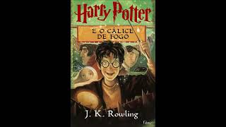 4 Harry Potter e o Cálice de Fogo Áudio Livro Completo  Parte 1 [upl. by Roseline]