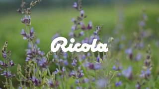 إعلان ريكولا للشرق الاوسط  AE  RICOLA [upl. by Eibmab]