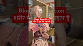 Heart amp Blood Circulation  शरीर में खून कैसे कहाँ बहता है viral trending shorts heart [upl. by Mamie]