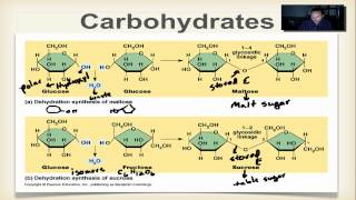 Chapter 2B Part 4 Carbohydrates [upl. by Llatsyrk]