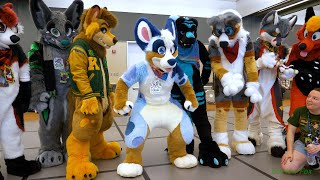 Anthrocon 2023  Fursuiting 101 [upl. by Ilaire]