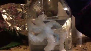 Make a Crystal Borax Snowflake [upl. by Kensell]