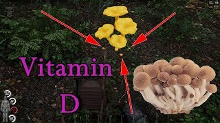 Scum Tutorial and Guide Vitamins D restore and increase intake of mushrooms [upl. by Firmin]