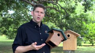 How to Choose the Best Nest Box for Your Birds [upl. by Aimik]