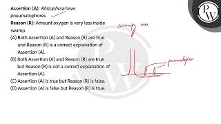 Assertion A Rhizophora have pneumatophoresReason R Amount of oxygen is very less inside s [upl. by Salazar153]