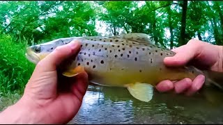 Trout Fishing with a Rapala Countdown [upl. by Davies289]