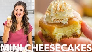 Easy Mini Cheesecakes With Caramel Sauce  Natashas Kitchen [upl. by Yeltnerb231]