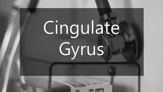 Learn how to pronounce Cingulate Gyrus [upl. by Aurelio]