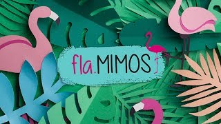 FlaMimos [upl. by Eanom]