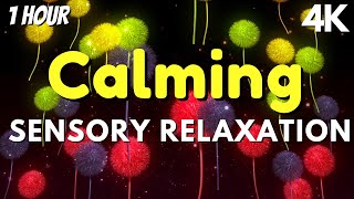 Best Sensory Music for Autism Sensory Visuals [upl. by Jennee]