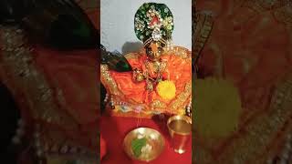 Maire laadu gopal 🥰 laddu anitakiduniya vlog [upl. by Dougal254]