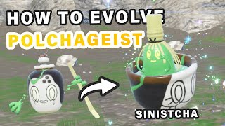 How to Evolve Polchageist into Sinistcha ► Pokemon Scarlet amp Violet [upl. by Einor416]