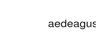 How to pronounce aedeagus [upl. by Rosenthal520]