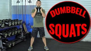 How To Squat Better With Dumbbells [upl. by Aivad717]