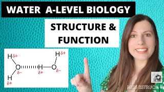 WATER  Alevel Biology The importance of water  structure and function [upl. by Neila]