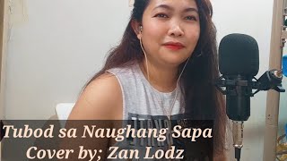 TUBOD SA NAUGHANG SAPA  COVER AND LYRICS BY ZAN LODZ [upl. by Dloraj]