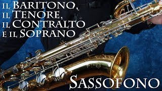 SASSOFONO il Baritono il Tenore il Contralto e il Soprano [upl. by Ientruoc1]