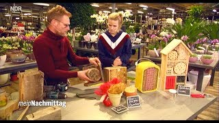 NDR Mein Nachmittag– Winterquartiere für Gartennützlinge Live aus HamburgVolksdorf [upl. by Sturdivant]