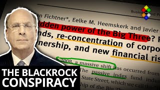 Is the Blackrock conspiracy real [upl. by Radke]