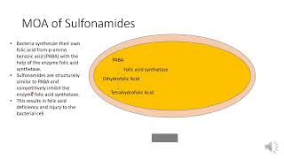 Mechanism of action of Sulfonamides [upl. by Nomzzaj]