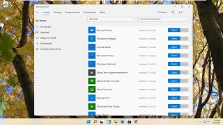 How to Play a DVD on Your Windows 11 Computer [upl. by Elwaine]