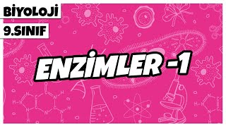 9 Sınıf Biyoloji  Enzimler 1  2022 [upl. by Knick]