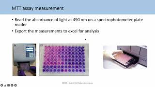 BE553 Topic 2 Tutorial 2 Analysing viability assays and IC50s [upl. by Joyce923]