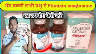 injection flunixin maglumine Unizip सभी पशु मे कैसे उपयोग करे संपूर्ण जानकारीvet medicine 💉 [upl. by Butcher]