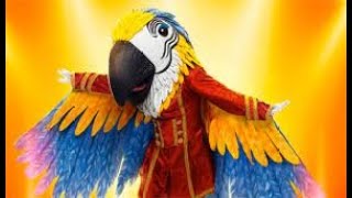 The Masked Singer Season 9  Macaw All Performances So Far [upl. by Rayle]