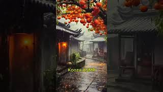 Rain ASMR Sound Part 4 Relax Sounds  Kooza AMSR [upl. by Derril]