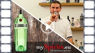 Degustation Tanqueray No 10 TEN Gin  mySpirits [upl. by Essinger254]