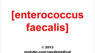 Pronounce Enterococcus Faecalis SpeakMedical [upl. by Rask136]