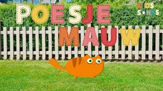 Poesje mauw  Nederlandse kinderliedjes  Kids Songs [upl. by Anileuqcaj]