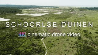 De Schoorlse Duinen  4K Cinematic Drone Video [upl. by Kimmel]