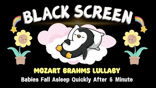 Mozart and Beethoven ♫ Sleep Music for Babies ♫ Mozart Brahms Lullaby ♫ Black Screen [upl. by Calabresi68]